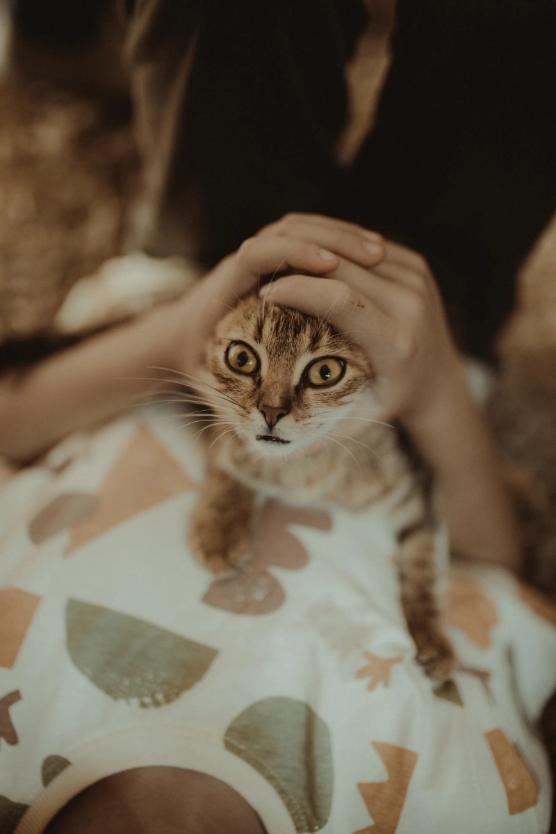 Fotografija sa vencanja