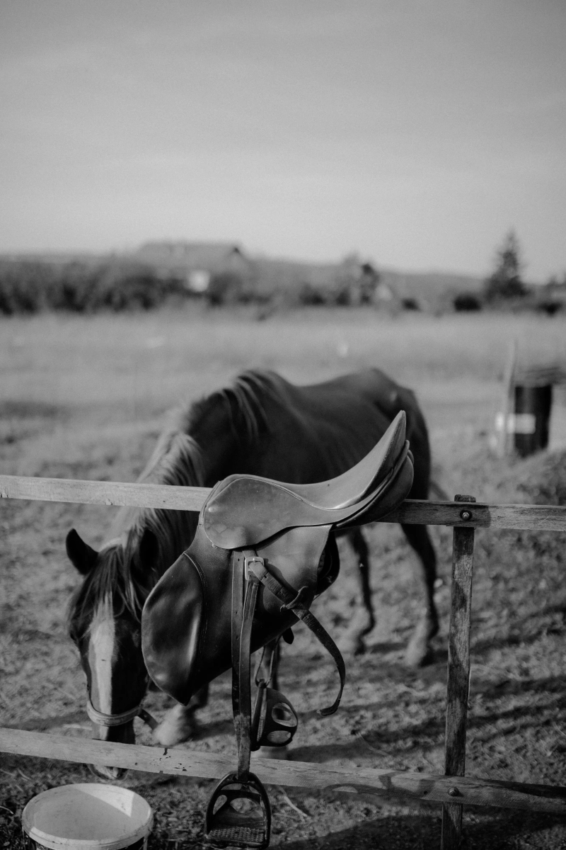 Fotografija sa vencanja