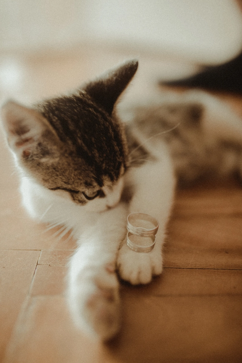 Fotografija sa vencanja