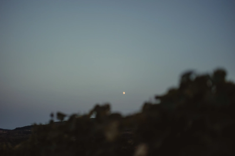 Fotografija sa vencanja