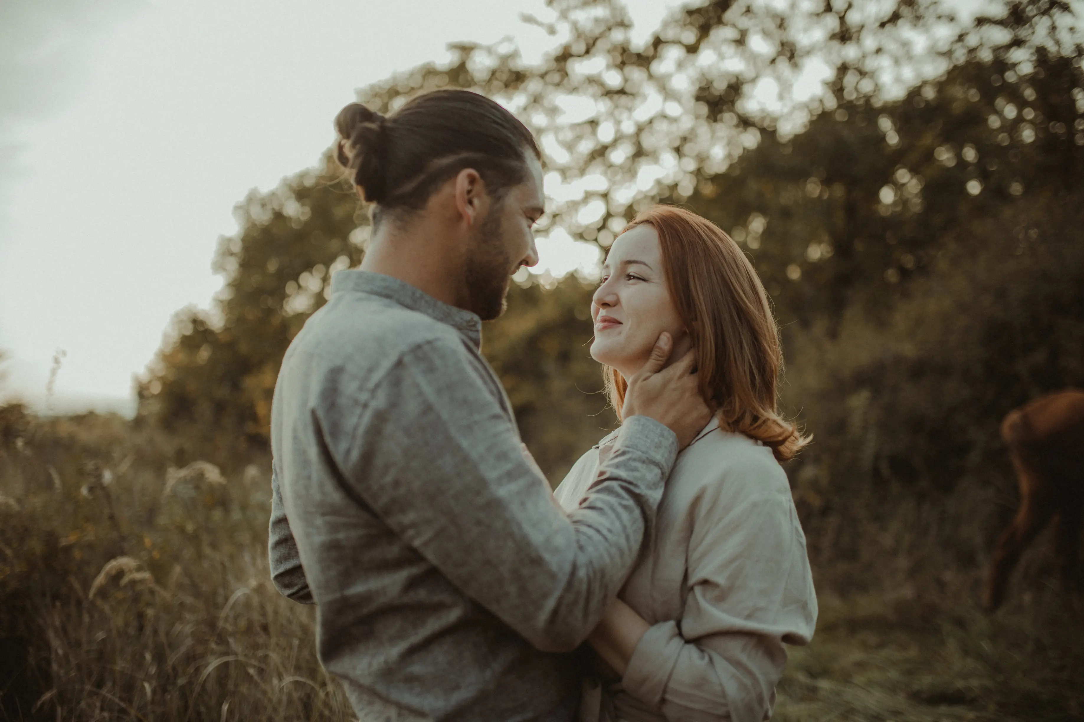 Novi Sad, Novom Sadu